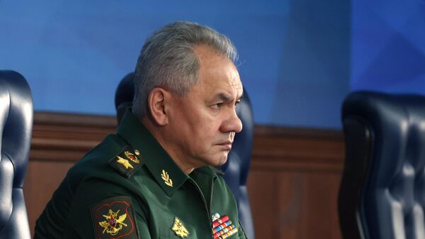 Министр обороны России Сергей Шойгу  - Sputnik Армения
