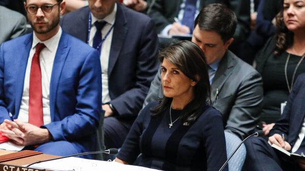 Заседание совета безопасности ООН в Нью-Йорке - Sputnik Армения