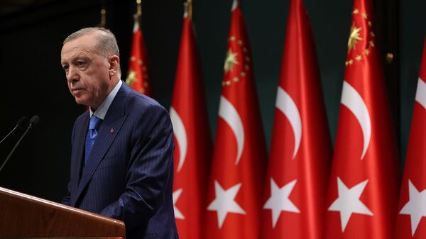 Президент Турции Реджеп Тайип Эрдоган после заседания кабинета министров (23 января 2023). Анкарa - Sputnik Արմենիա