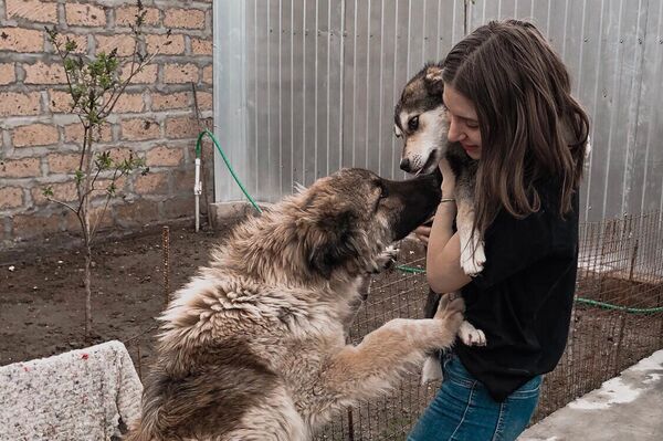 Лилит Абрамян с собакой - Sputnik Армения