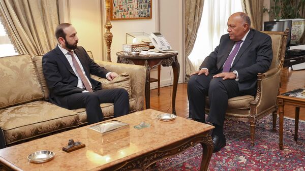 Министр иностранных дел Арарат Мирзоян, приглашенный на министерское заседание Совета Лиги арабских государств, встретился с министром иностранных дел Египта Самехом Шукри (9 марта 2023). Каир - Sputnik Армения