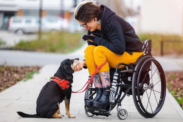 Женщина в инвалидном кресле на прогулке с собакой - Sputnik Армения