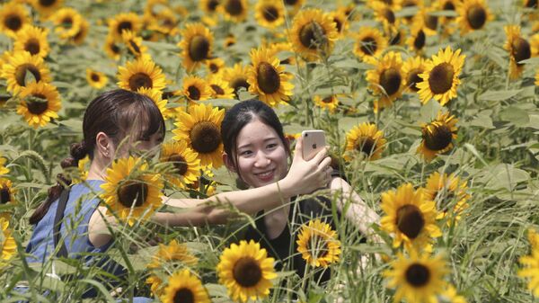 Девушки фотографируются среди подсолнухов в Японии - Sputnik Армения