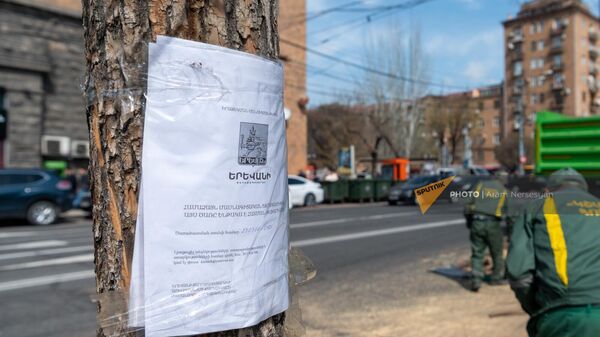 НКО Озеленение и охрана окружающей среды вырубает деревья на улице Московян - Sputnik Армения