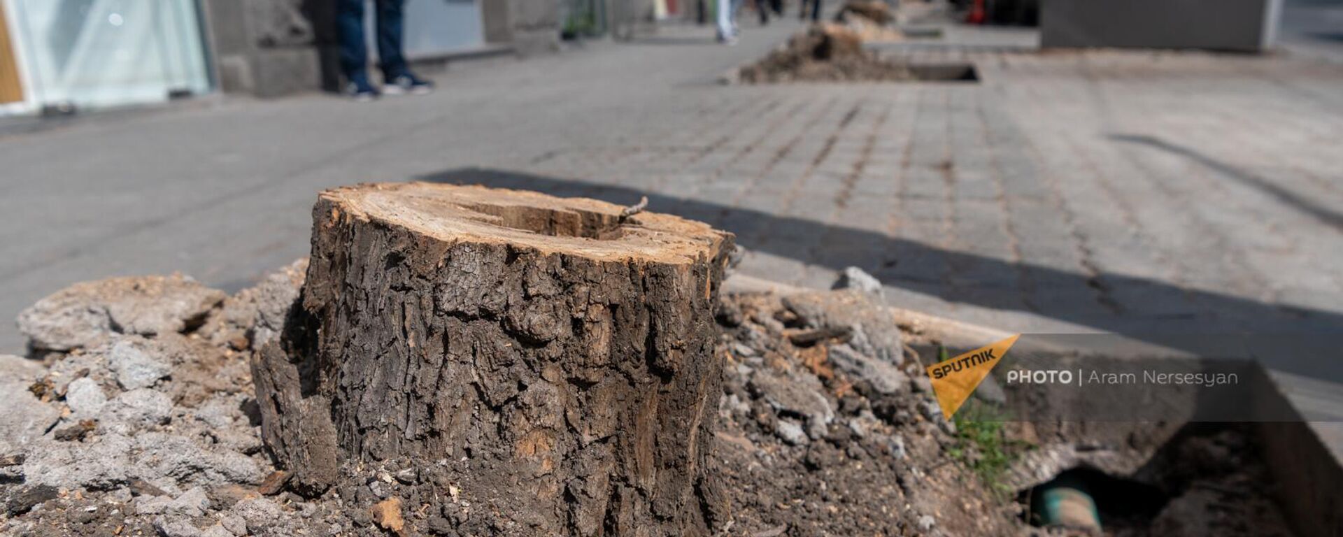 НКО Озеленение и охрана окружающей среды вырубает деревья на улице Московян - Sputnik Армения, 1920, 23.03.2023