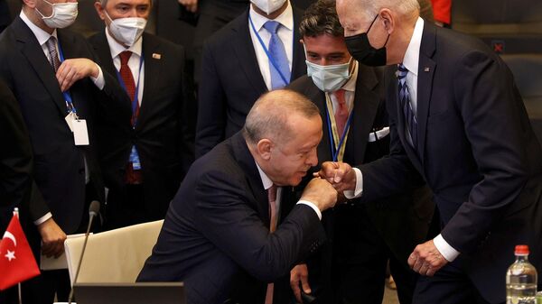 Վաշինգտոնում ցանկանում են, որ Թուրքիան էապես փոխի իր արտաքին քաղաքականությունը - Sputnik Արմենիա
