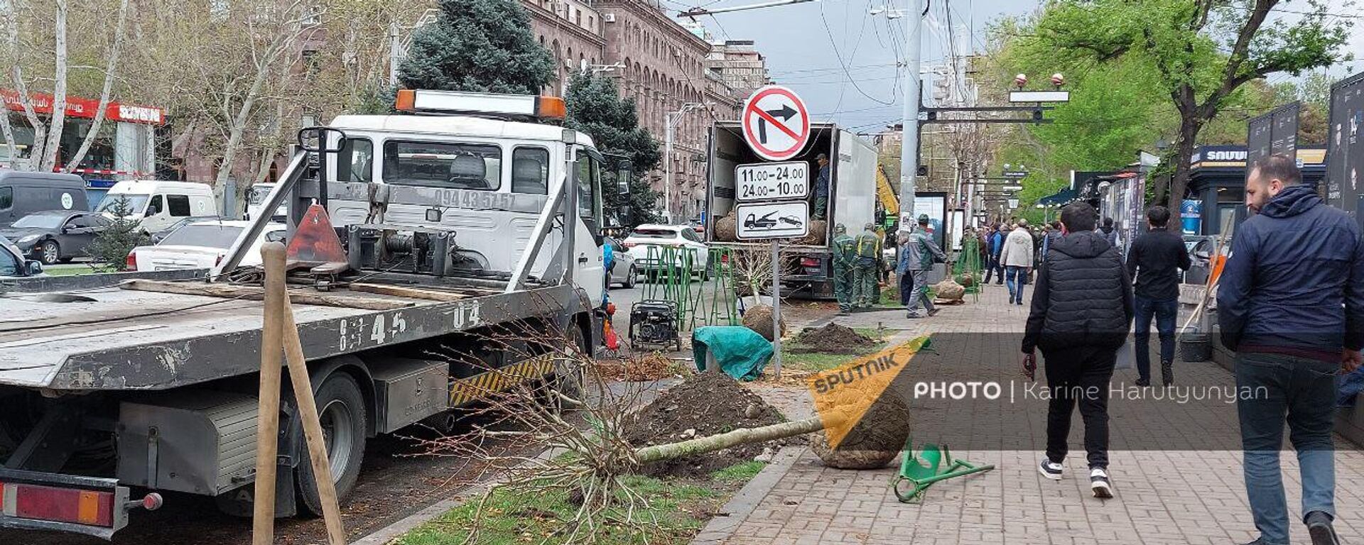 НКО Озеленение и охрана окружающей среды вырубает старые и сажает новые деревья на проспекте Саят-Нова (13 апреля 2023). Еревaн - Sputnik Армения, 1920, 13.04.2023