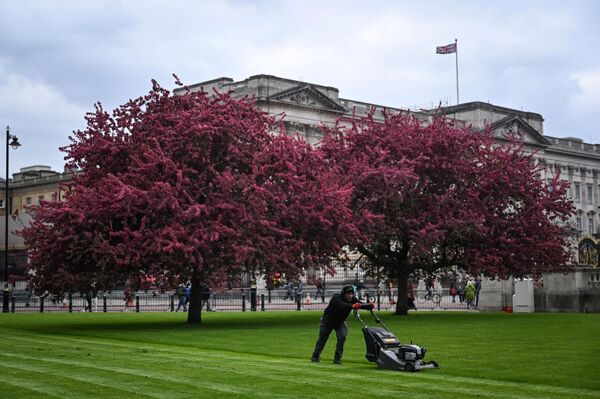 Рабочий косит газонокосилкой траву в саду перед Букингемским дворцом в центре Лондона - Sputnik Армения