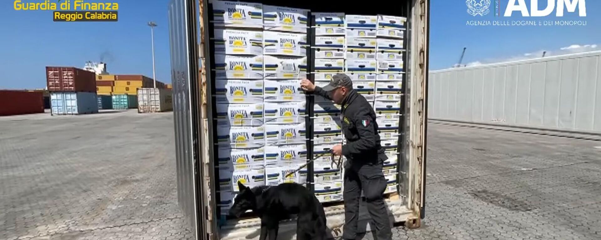 Сотрудники финансовой полиции Италии обнаружили 2737кг кокаина в контейнерах с бананами, следовавшими из Эквадора в Армению - Sputnik Армения, 1920, 18.05.2023