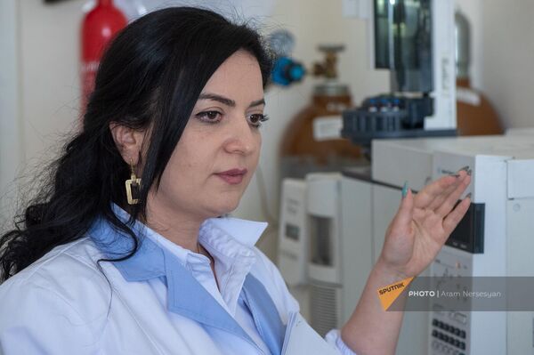 Начальник отдела материаловедческих экспертиз Национального бюро экспертиз Анна Товмасян - Sputnik Армения