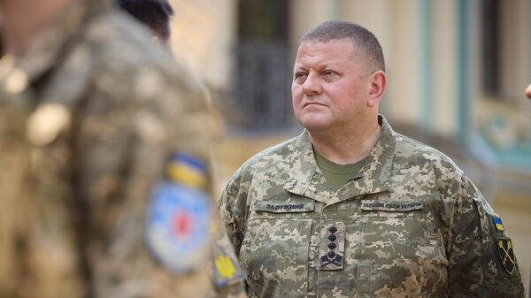 Ուկրաինայի Զինված ուժերի գլխավոր հրամանատար Վալերի Զալուժնինը - Sputnik Արմենիա