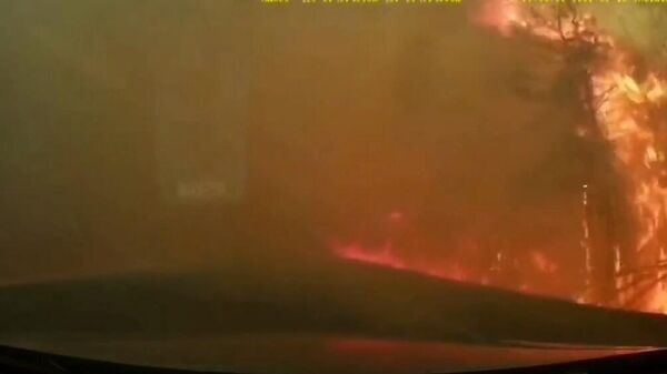 Кадры из канадской Новой Шотландии, где бушуют лесные пожары - Sputnik Армения