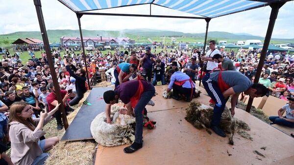 Фестиваль стрижки овец в общине Хот (10 июня 2023). Сюник - Sputnik Армения