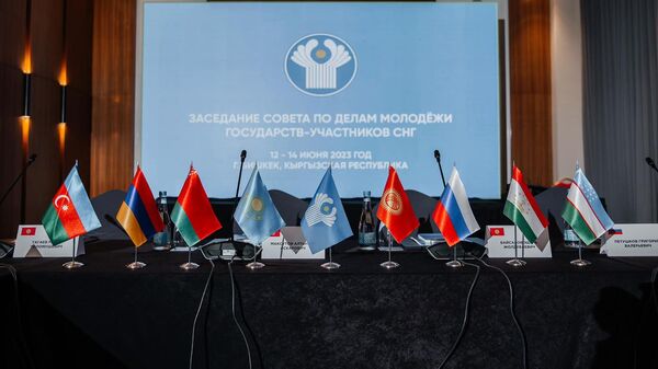 Армения приняла участие в заседании Совета по делам молодежи государств-участников СНГ - Sputnik Армения