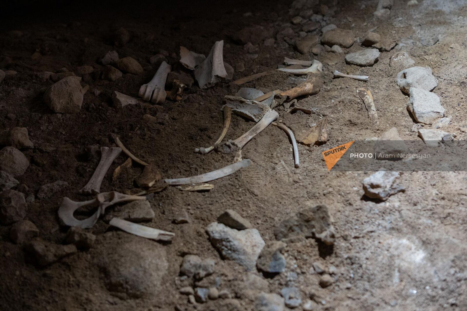 Не изученные кости в пещере Магелана - Sputnik Արմենիա, 1920, 30.06.2023