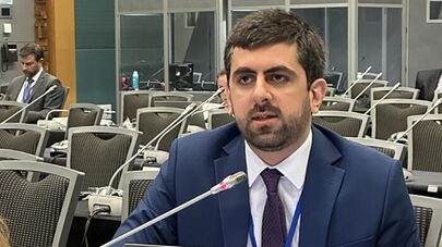 Глава армянской делегации в ПА ОБСЕ Саргис Ханданян 