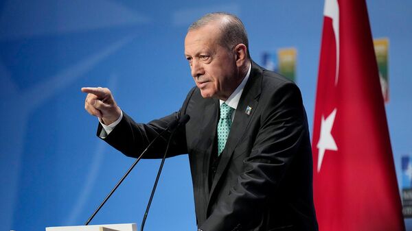 Президент Турции Реджеп Тайип Эрдоган выступает на пресс-конференции во время саммита НАТО (12 июля 2023). Вильнюс - Sputnik Արմենիա