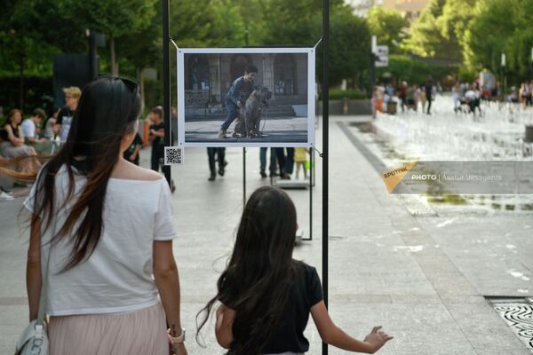 Благотворительная выставка фотографий Нарине Карапетян осажденного Арцаха Служба (17 июля 2023). Еревaн - Sputnik Армения