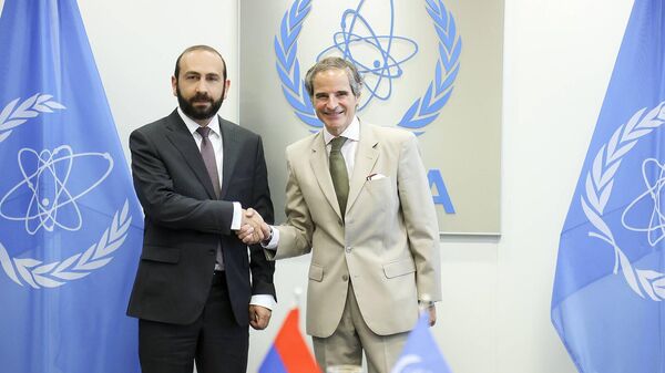 Министр иностранных дел Арарат Мирзоян встретился с генеральным директором Международного агентства по атомной энергии (МАГАТЭ) Рафаэлем Мариано Гросси (18 июля 2023). Вена - Sputnik Армения