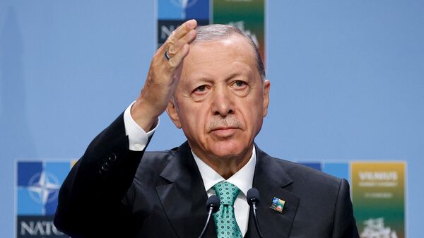 Президент Турции Реджеп Тайип Эрдоган дает пресс-конференцию во время саммита НАТО (12 июля 2023). Вильнюс - Sputnik Армения