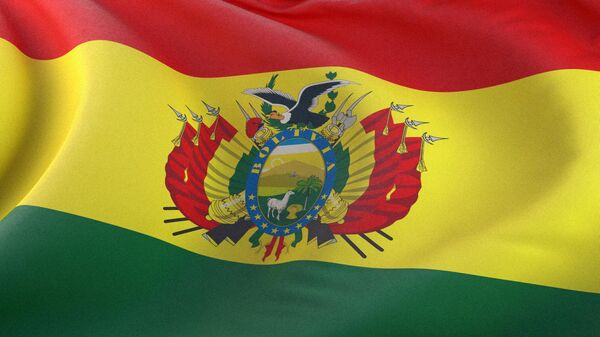 Флаг Многонационального Государства Боливия. - Sputnik Армения