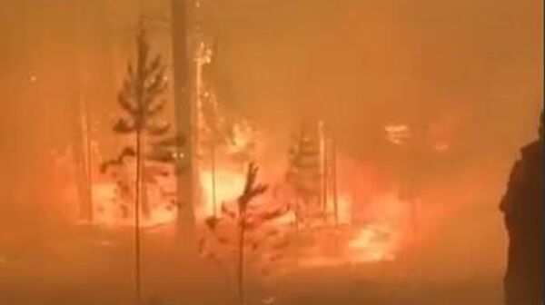 В Якутии горит лес на площади 125 тыс. га. В регионе зафиксировано 98 природных пожаров - Sputnik Армения
