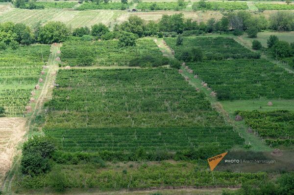 Сельскохозяйственные поля у Галинджакарской крепости Тавушской области - Sputnik Армения