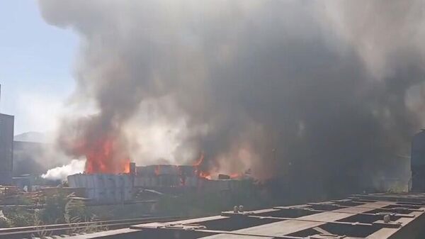 Крупный пожар в грузовом терминале в Новороссийске - Sputnik Армения