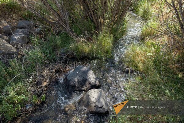 Испорченный из-за нехватки воды урожай в селе Зангакатун - Sputnik Армения