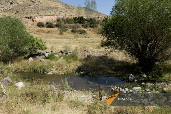 Испорченный из-за нехватки воды урожай в селе Зангакатун - Sputnik Армения