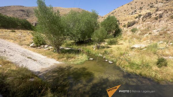 Нехватка воды для орошения в селах Вардашен и Зангакатун Араратской области - Sputnik Армения