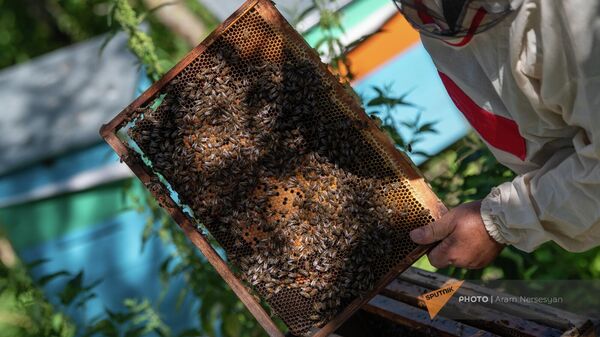 Արխիվային լուսանկար - Sputnik Արմենիա