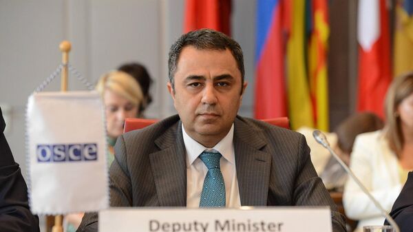 Վահե Գևորգյանը ԵԱՀԿ հատուկ նիստին - Sputnik Արմենիա