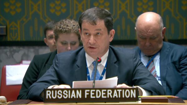 Первый заместитель постоянного представителя РФ в ООН Дмитрий Полянский на заседании Совета Безопасности ООН  - Sputnik Армения
