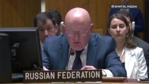 Небензя назвал лицемерием голосование США по резолюции Бразилии в Совбезе ООН  - Sputnik Армения