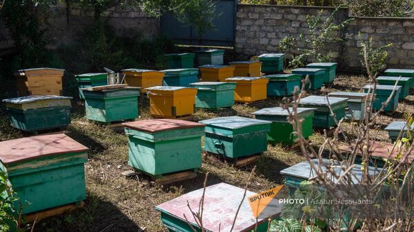 Փեթակներ - Sputnik Արմենիա