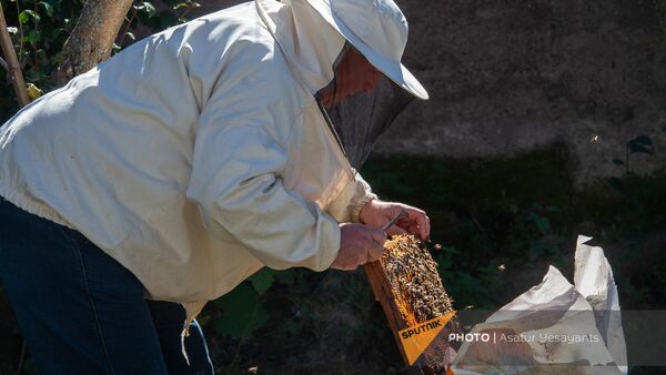 Житель общины Горис Армен Ишханян за работой - Sputnik Армения