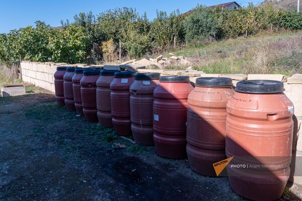 Переработка оливок, выращенных в Баграташене Тавушской области - Sputnik Армения