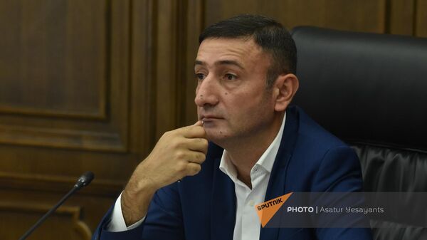 Заместитель председателя постоянной комиссии НС РА по экономическим вопросам Бабкен Тунян - Sputnik Армения