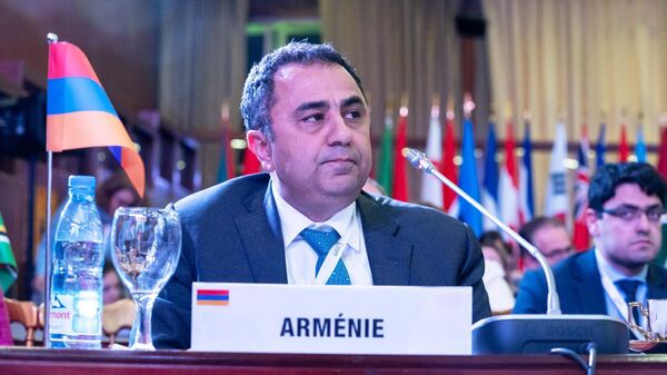 Замминистра иностранных дел Армении Ваге Геворгян на конференции Франкофония (4 ноября 2023). Яунде - Sputnik Армения