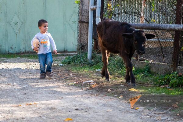 4-летний Карен Акопян в селе Чинари Тавушской области - Sputnik Армения
