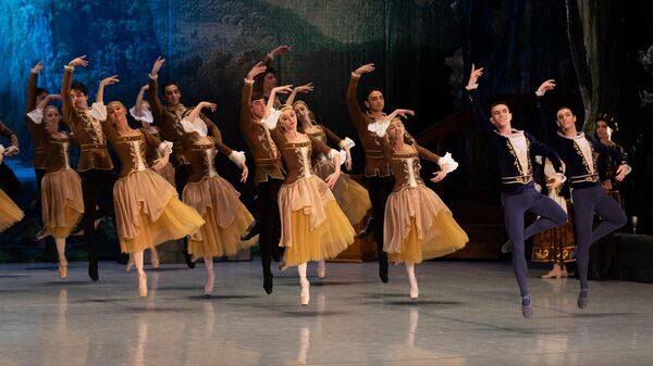 Балет Лебединое озеро на сцене Национального академического театра оперы и балета имени Ал.Спендиаряна - Sputnik Армения