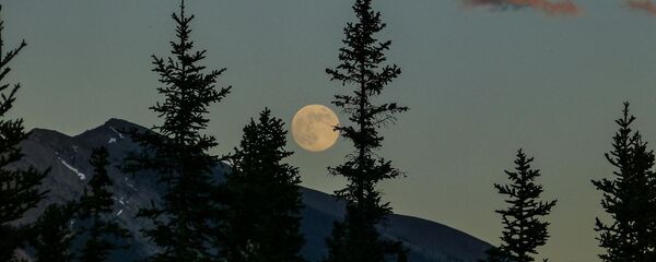 Луна суперлуние ночь лес - Sputnik Армения