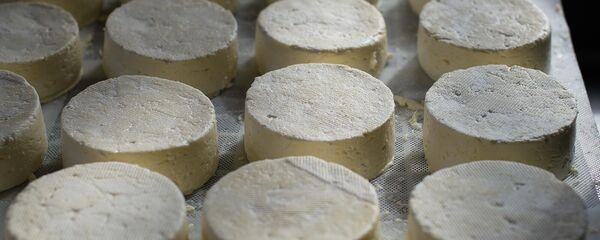 Сыр Сыр - Sputnik Արմենիա