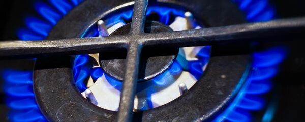 Газовая конфорка Газовая конфорка - Sputnik Արմենիա