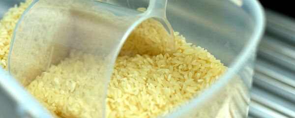 Рис - Sputnik Армения