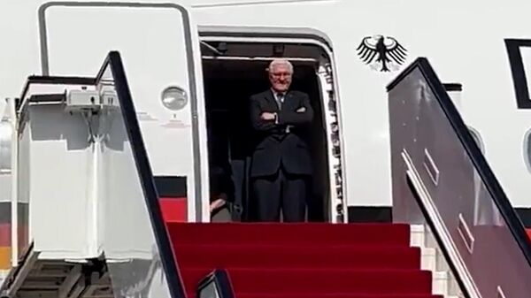 Գերմանիայի նախագահը կես ժամ սպասել է ինքնաթիռում, որ իրեն դիմավորի Կատարի ԱԳ նախարարը - Sputnik Արմենիա