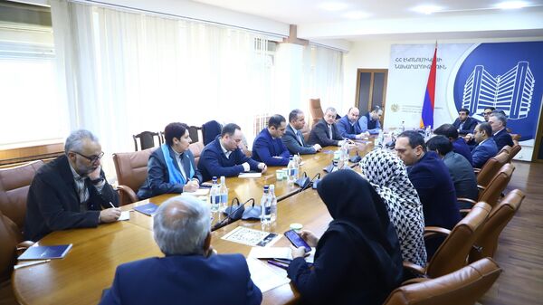 ՀՀ էկոնոմիկայի նախարար Վահան Քերոբյանի հանդիպումը Հնդկաստանից, Իրանից, Վրաստանից ժամանած փորձագետների հետ - Sputnik Արմենիա
