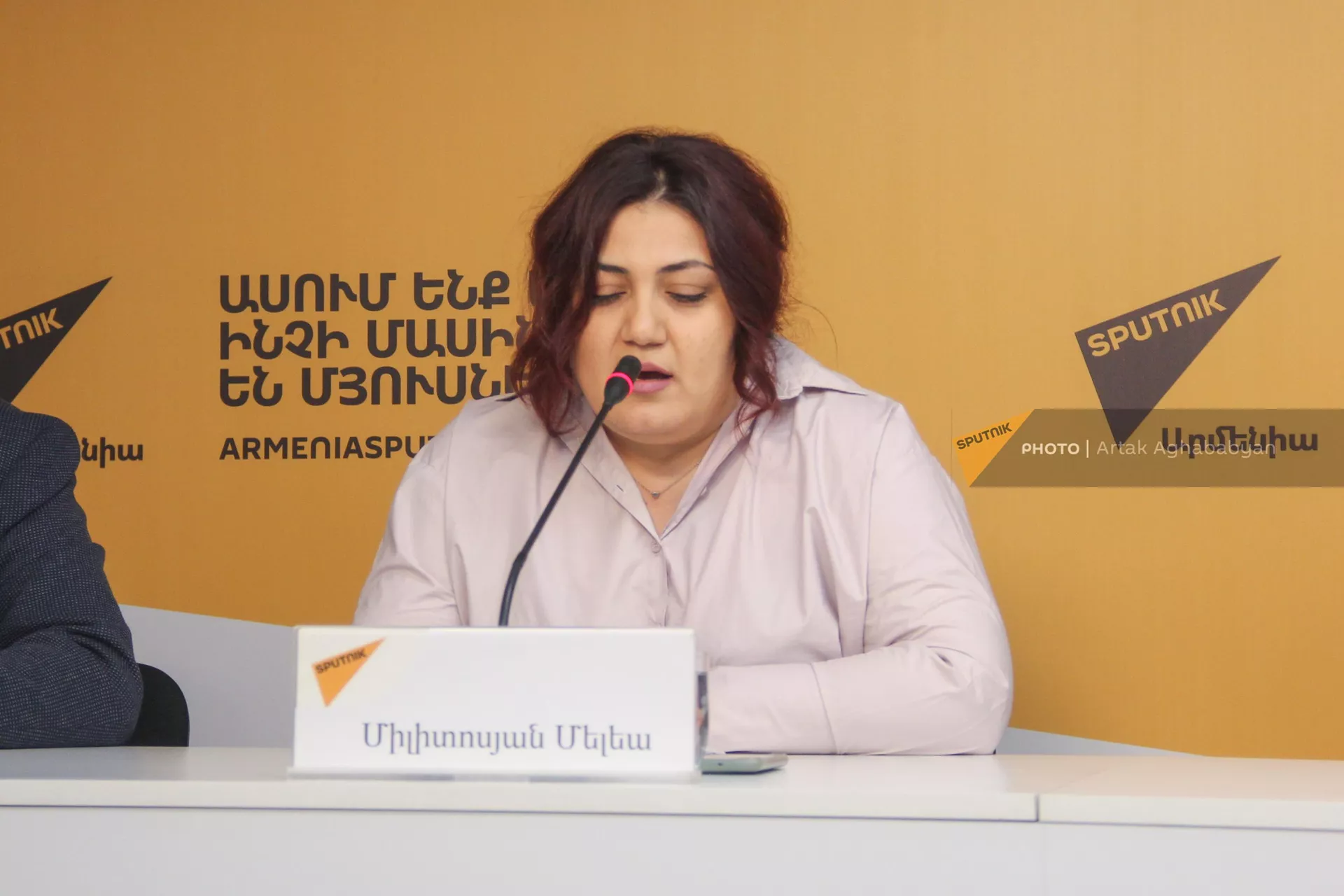 Милитосян Мелея на пресс-конференции представителей Ассоциации родителей детей с особенностями развития (9 декабря 2023). Еревaн - Sputnik Армения, 1920, 08.12.2023