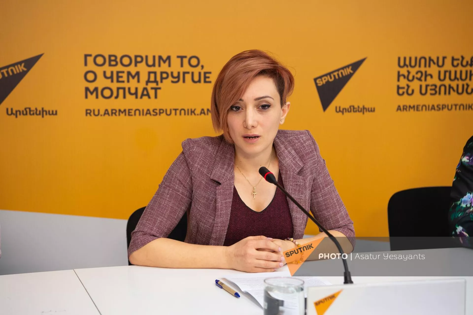 Тамазян Асмик на пресс-конференции представителей Ассоциации родителей детей с особенностями развития (9 декабря 2023). Еревaн - Sputnik Армения, 1920, 08.12.2023